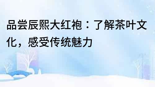 品嘗辰熙大紅袍：了解茶葉文化，感受傳統魅力