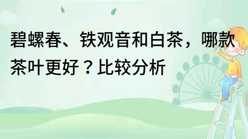 碧螺春、鐵觀音和白茶，哪款茶葉更好？比較分析