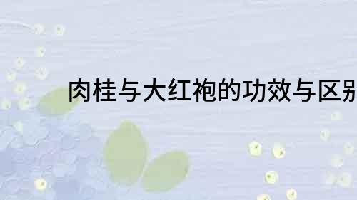 肉桂與大紅袍的功效與區(qū)別