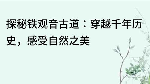 探秘鐵觀音古道：穿越千年歷史，感受自然之美