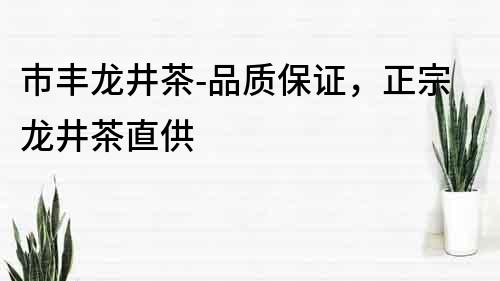 市豐龍井茶-品質保證，正宗龍井茶直供