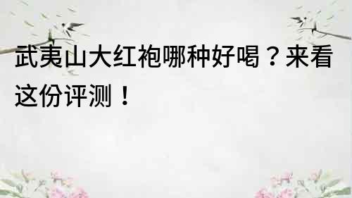 武夷山大紅袍哪種好喝？來看這份評測！