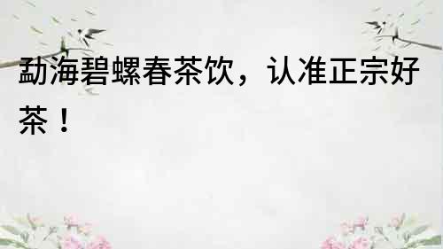 勐海碧螺春茶飲，認(rèn)準(zhǔn)正宗好茶！