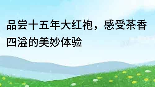 品嘗十五年大紅袍，感受茶香四溢的美妙體驗
