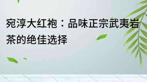 宛淳大紅袍：品味正宗武夷巖茶的絕佳選擇