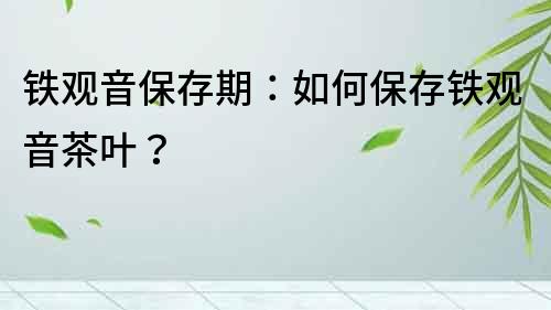 鐵觀音保存期：如何保存鐵觀音茶葉？