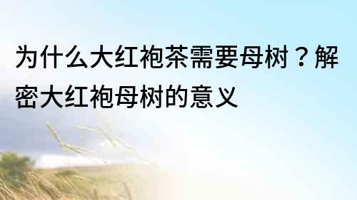 為什么大紅袍茶需要母樹？解密大紅袍母樹的意義