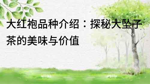 大紅袍品種介紹：探秘大墜子茶的美味與價值