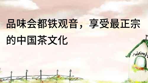 品味會都鐵觀音，享受最正宗的中國茶文化