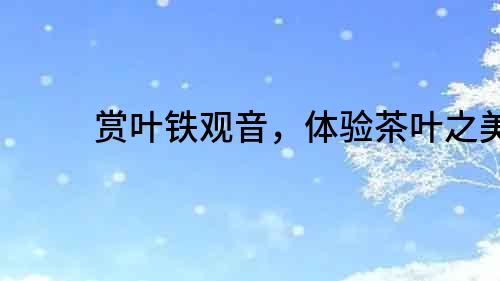 賞葉鐵觀音，體驗茶葉之美