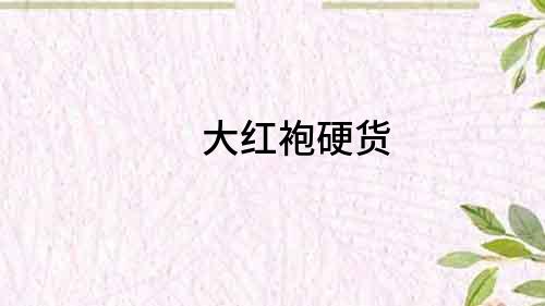 大紅袍硬貨