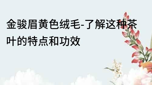 金駿眉黃色絨毛-了解這種茶葉的特點和功效