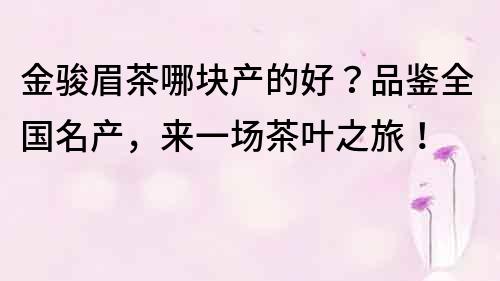 金駿眉茶哪塊產的好？品鑒全國名產，來一場茶葉之旅！
