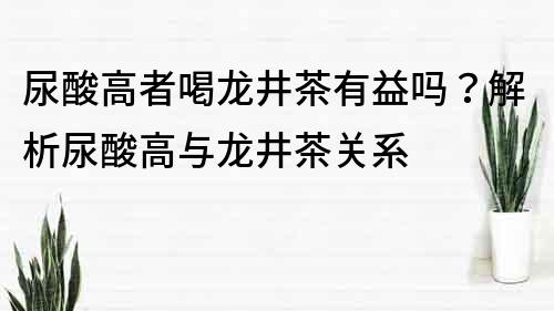 尿酸高者喝龍井茶有益嗎？解析尿酸高與龍井茶關系