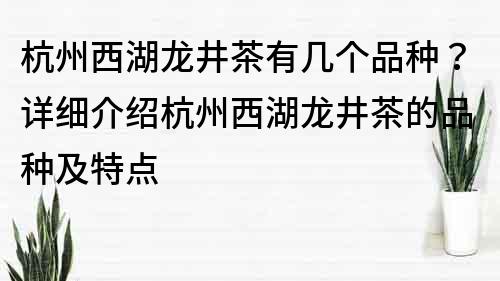 杭州西湖龍井茶有幾個品種？詳細介紹杭州西湖龍井茶的品種及特點