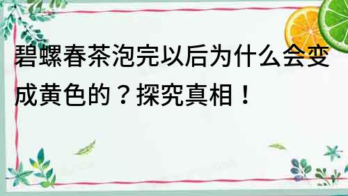 碧螺春茶泡完以后為什么會變成黃色的？探究真相！