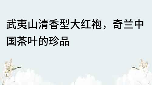 武夷山清香型大紅袍，奇蘭中國茶葉的珍品