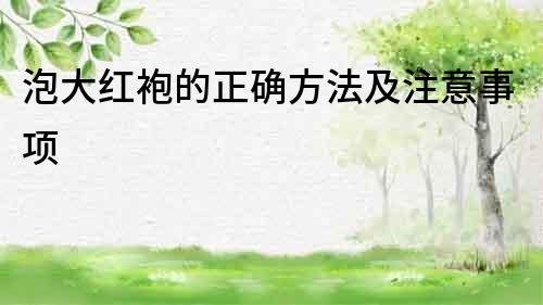 泡大紅袍的正確方法及注意事項