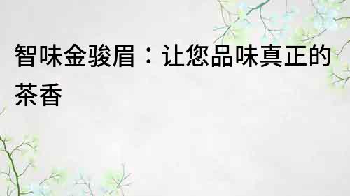 智味金駿眉：讓您品味真正的茶香