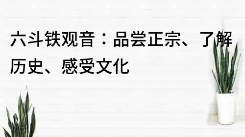 六斗鐵觀音：品嘗正宗、了解歷史、感受文化