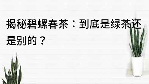 揭秘碧螺春茶：到底是綠茶還是別的？