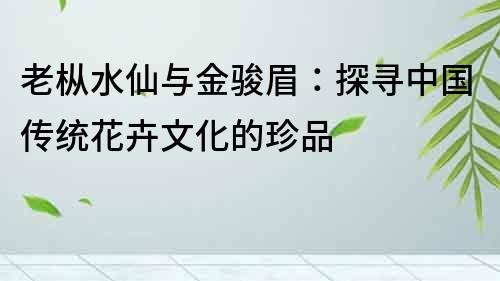 老樅水仙與金駿眉：探尋中國傳統(tǒng)花卉文化的珍品