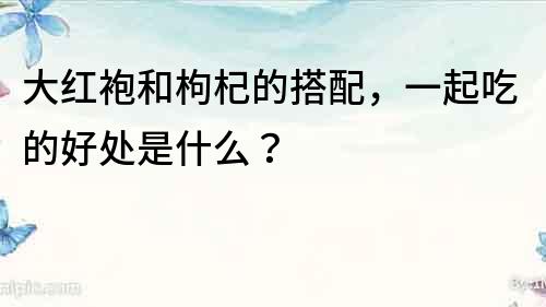 大紅袍和枸杞的搭配，一起吃的好處是什么？