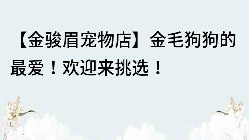 【金駿眉寵物店】金毛狗狗的最愛！歡迎來挑選！