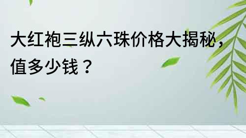 大紅袍三縱六珠價格大揭秘，值多少錢？