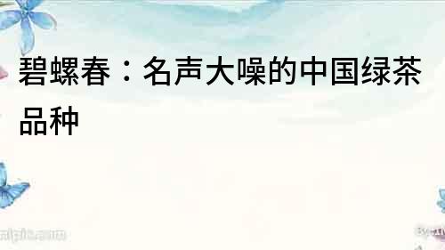 碧螺春：名聲大噪的中國綠茶品種
