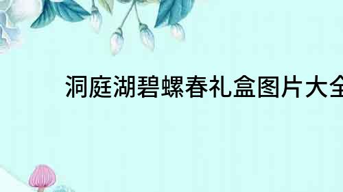 洞庭湖碧螺春禮盒圖片大全