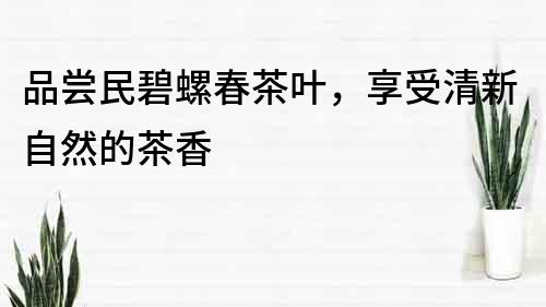 品嘗民碧螺春茶葉，享受清新自然的茶香