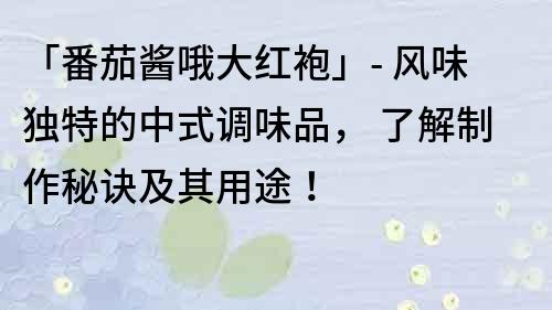 「番茄醬哦大紅袍」- 風(fēng)味獨(dú)特的中式調(diào)味品， 了解制作秘訣及其用途！