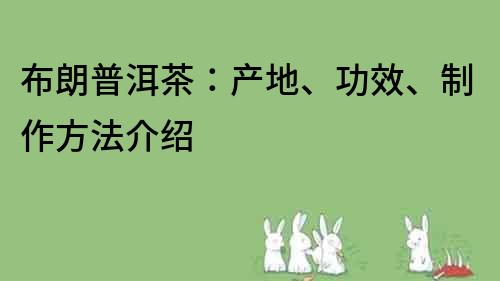 布朗普洱茶：產地、功效、制作方法介紹
