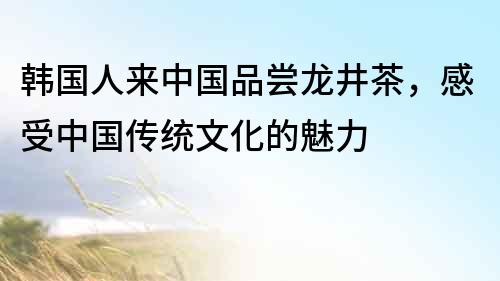 韓國人來中國品嘗龍井茶，感受中國傳統文化的魅力