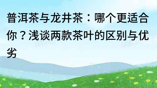 普洱茶與龍井茶：哪個(gè)更適合你？淺談兩款茶葉的區(qū)別與優(yōu)劣