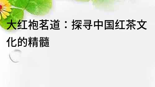 大紅袍茗道：探尋中國紅茶文化的精髓