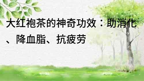 大紅袍茶的神奇功效:助消化、降血脂、抗疲勞