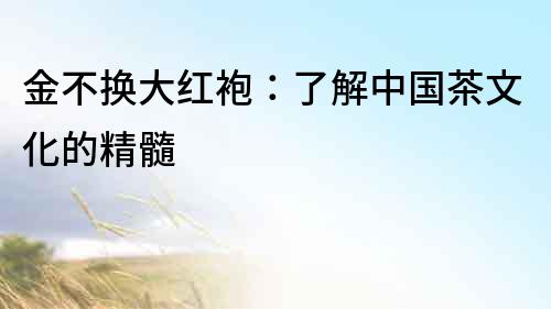 金不換大紅袍：了解中國茶文化的精髓