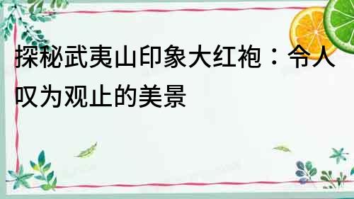 探秘武夷山印象大紅袍：令人嘆為觀止的美景
