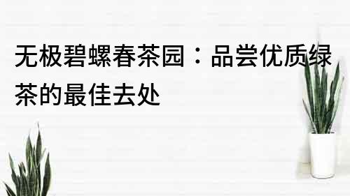 無極碧螺春茶園：品嘗優(yōu)質(zhì)綠茶的最佳去處