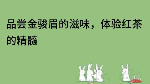 品嘗金駿眉的滋味，體驗紅茶的精髓