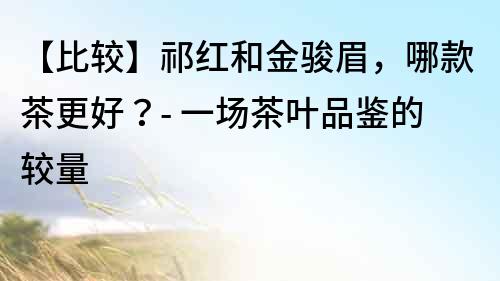 【比較】祁紅和金駿眉，哪款茶更好？- 一場茶葉品鑒的較量