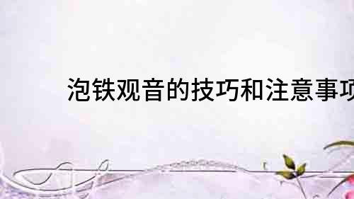泡鐵觀音的技巧和注意事項