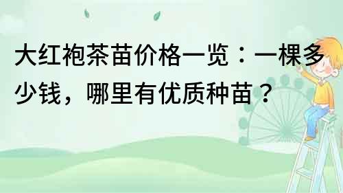大紅袍茶苗價格一覽：一棵多少錢，哪里有優(yōu)質(zhì)種苗？