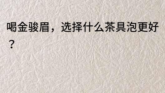 喝金駿眉，選擇什么茶具泡更好？