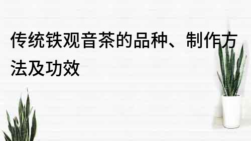 傳統鐵觀音茶的品種、制作方法及功效
