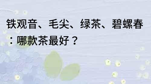 鐵觀音、毛尖、綠茶、碧螺春：哪款茶最好？