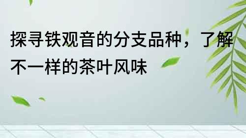探尋鐵觀音的分支品種，了解不一樣的茶葉風味