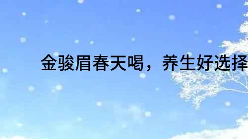 金駿眉春天喝，養生好選擇！